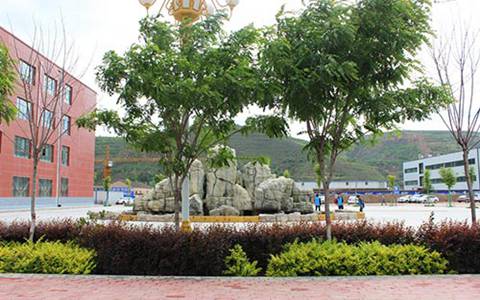 成都市蜀興職業中學學前教育專業
