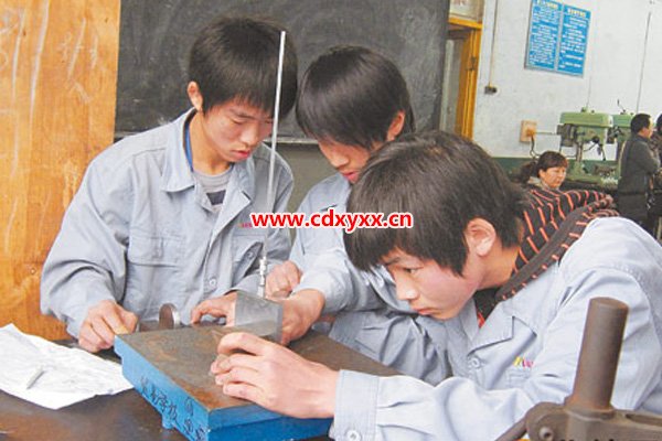 雅安職高學校有哪些