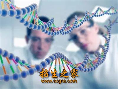 蒙醫學專業